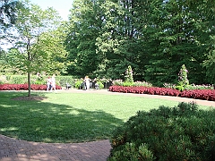 142 Longwood Gardens [2008 August 23]